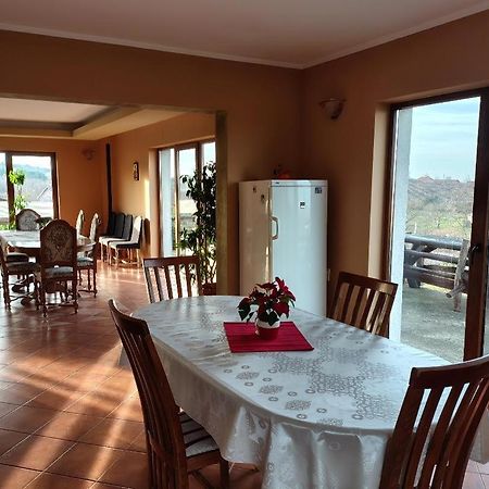 Vis Pension Viile Satu Mare Экстерьер фото