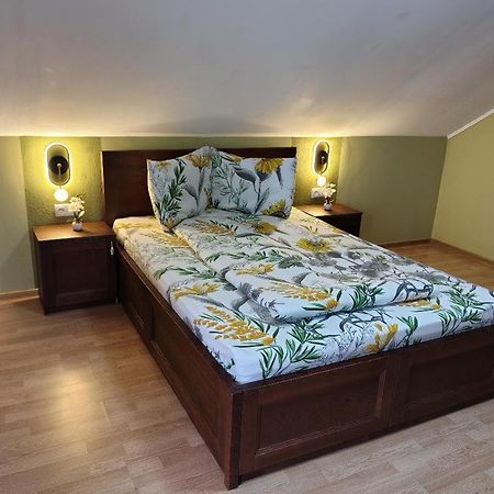 Vis Pension Viile Satu Mare Экстерьер фото
