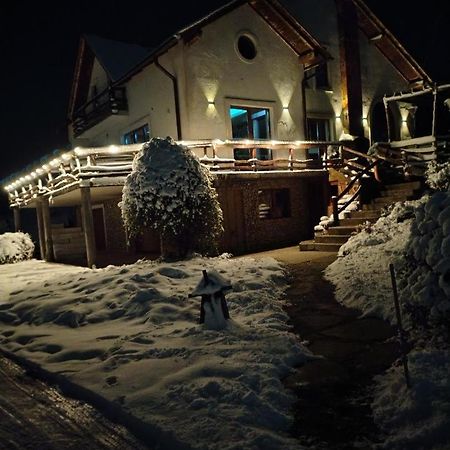 Vis Pension Viile Satu Mare Экстерьер фото