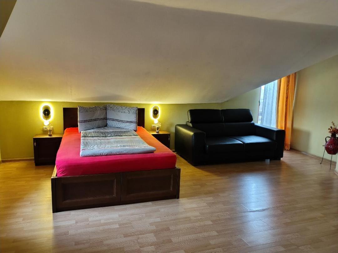 Vis Pension Viile Satu Mare Экстерьер фото