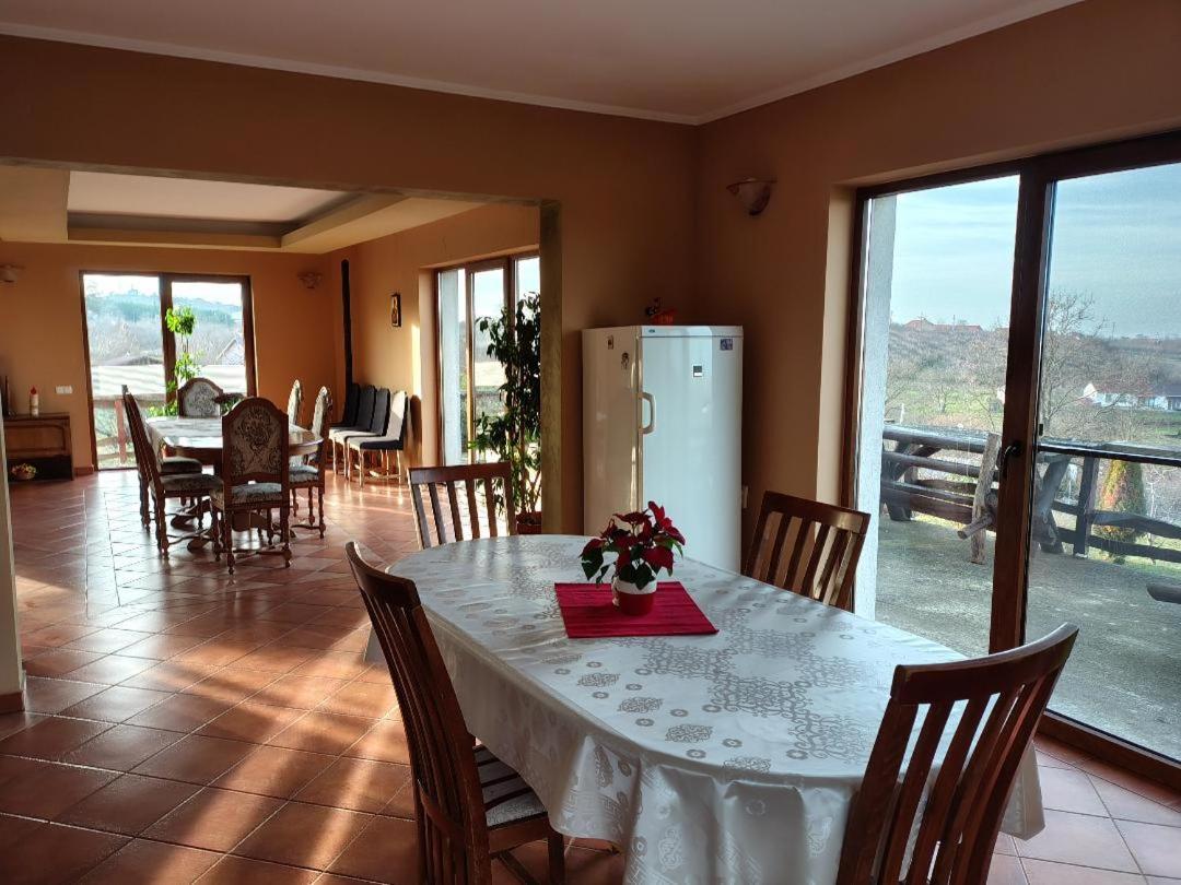 Vis Pension Viile Satu Mare Экстерьер фото