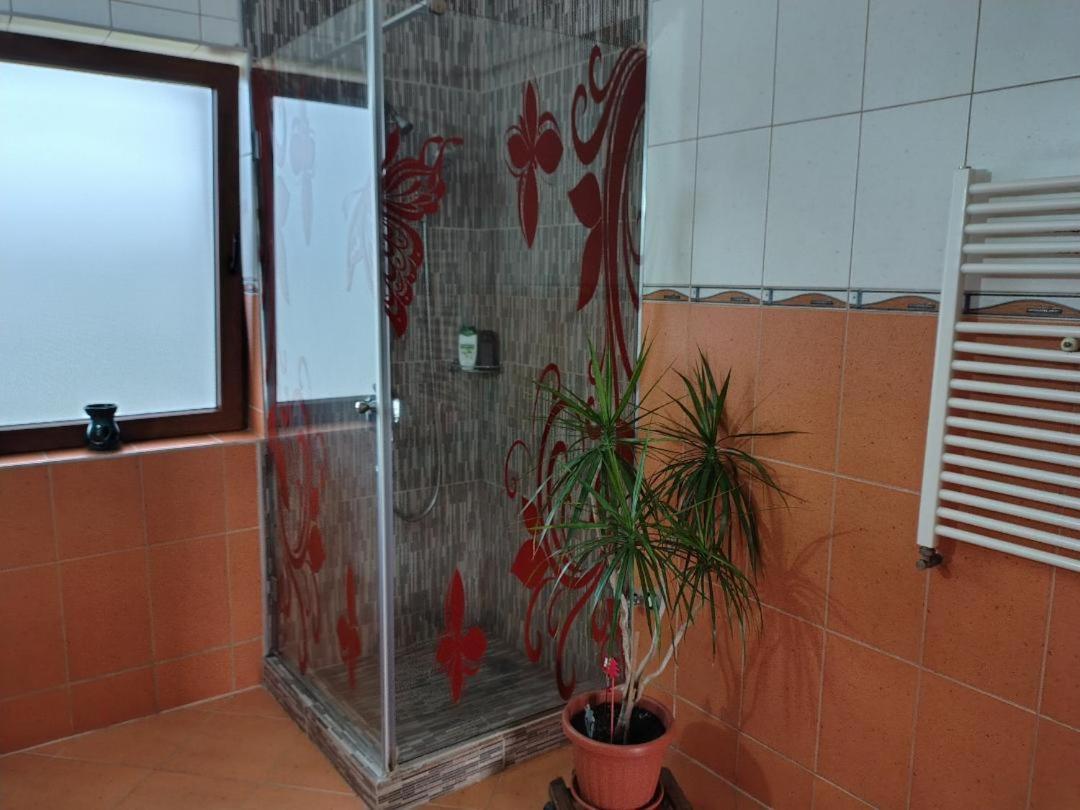 Vis Pension Viile Satu Mare Экстерьер фото