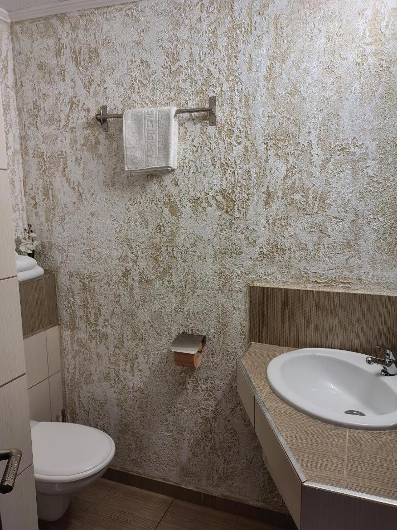 Vis Pension Viile Satu Mare Экстерьер фото