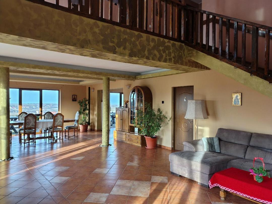 Vis Pension Viile Satu Mare Экстерьер фото