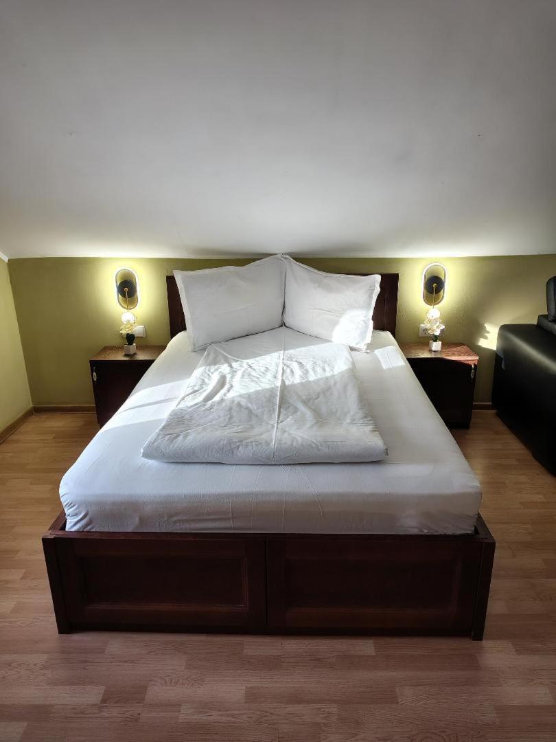 Vis Pension Viile Satu Mare Экстерьер фото