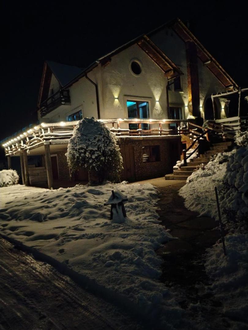 Vis Pension Viile Satu Mare Экстерьер фото