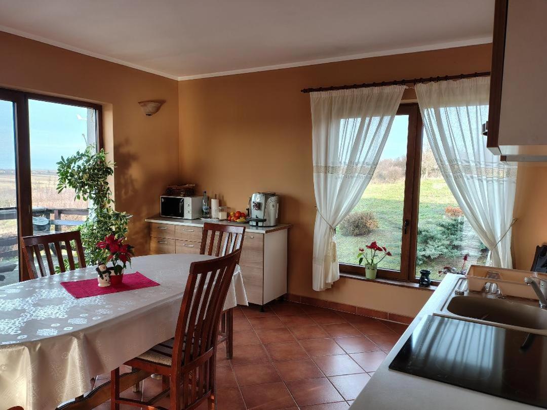 Vis Pension Viile Satu Mare Экстерьер фото