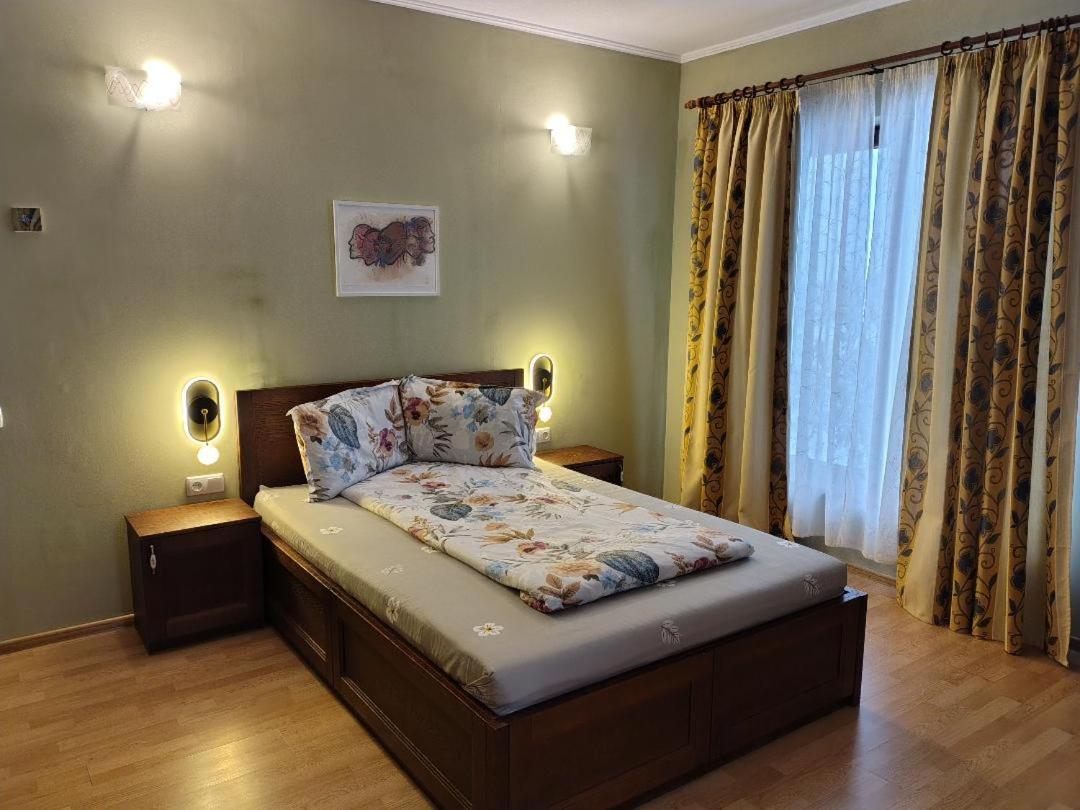 Vis Pension Viile Satu Mare Экстерьер фото
