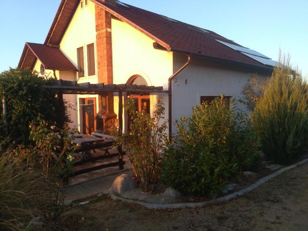 Vis Pension Viile Satu Mare Экстерьер фото