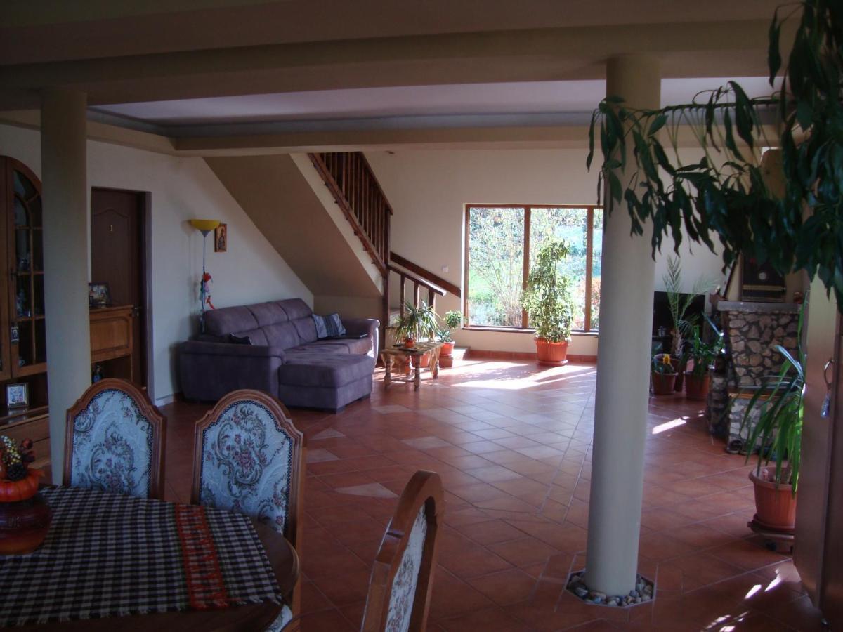 Vis Pension Viile Satu Mare Экстерьер фото
