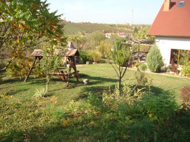 Vis Pension Viile Satu Mare Экстерьер фото