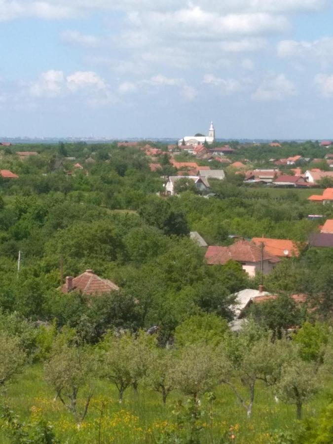 Vis Pension Viile Satu Mare Экстерьер фото