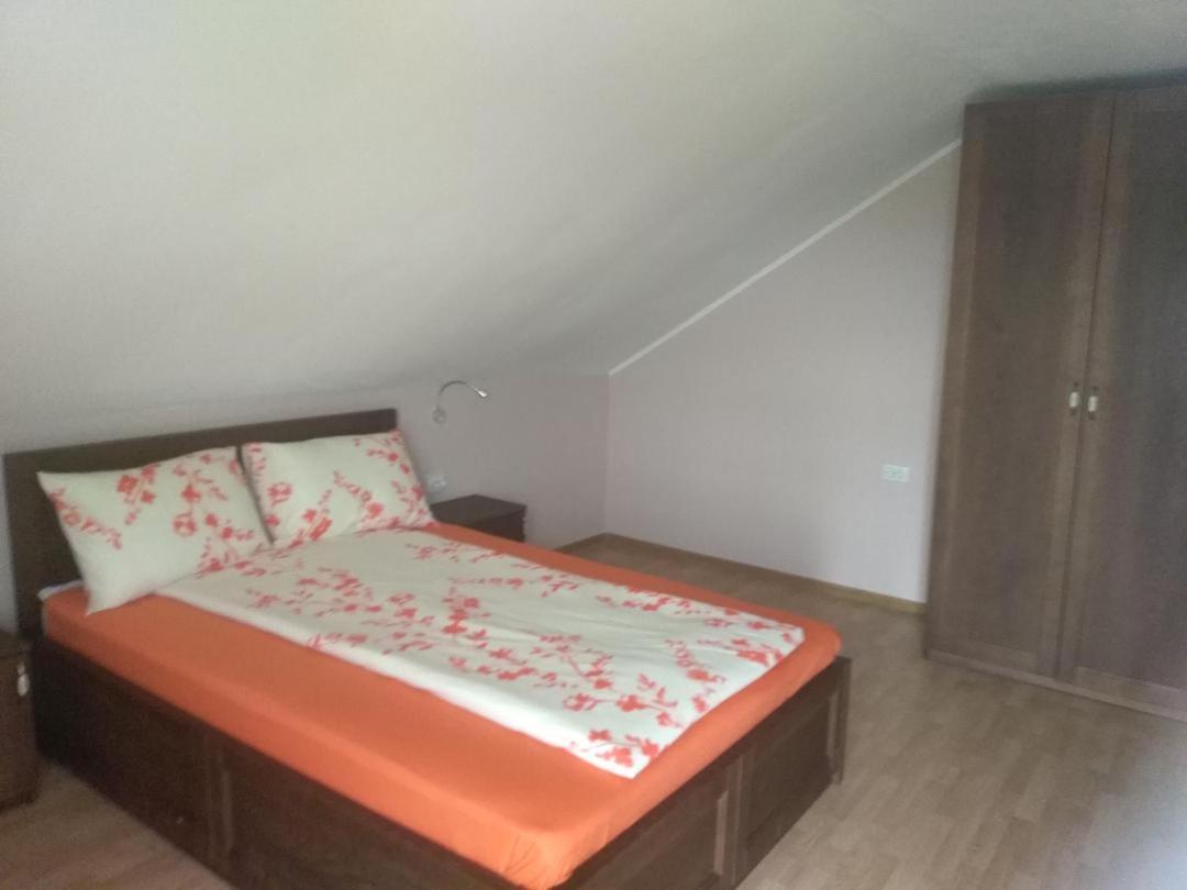 Vis Pension Viile Satu Mare Экстерьер фото
