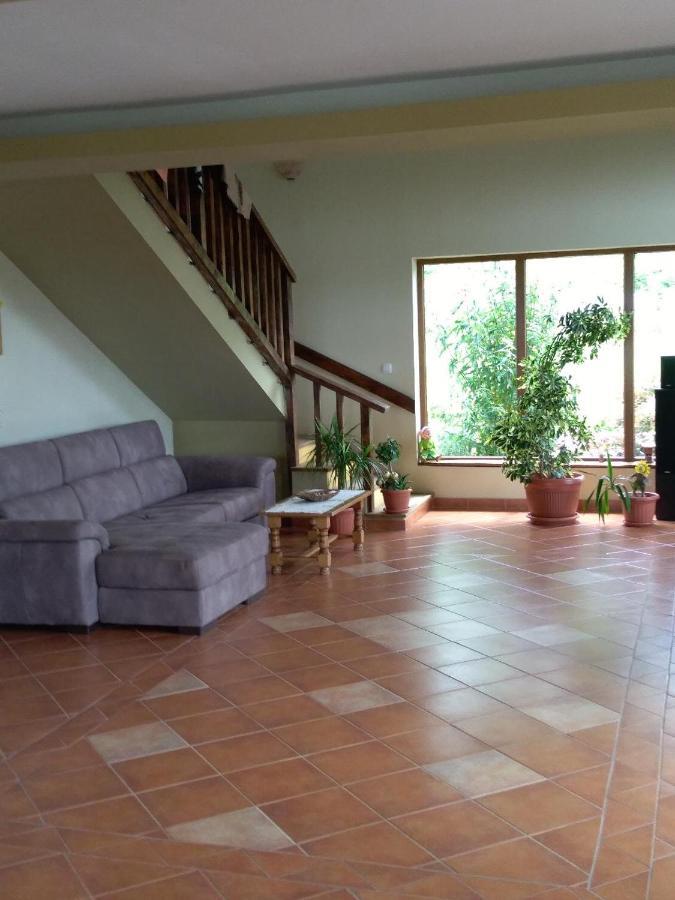 Vis Pension Viile Satu Mare Экстерьер фото