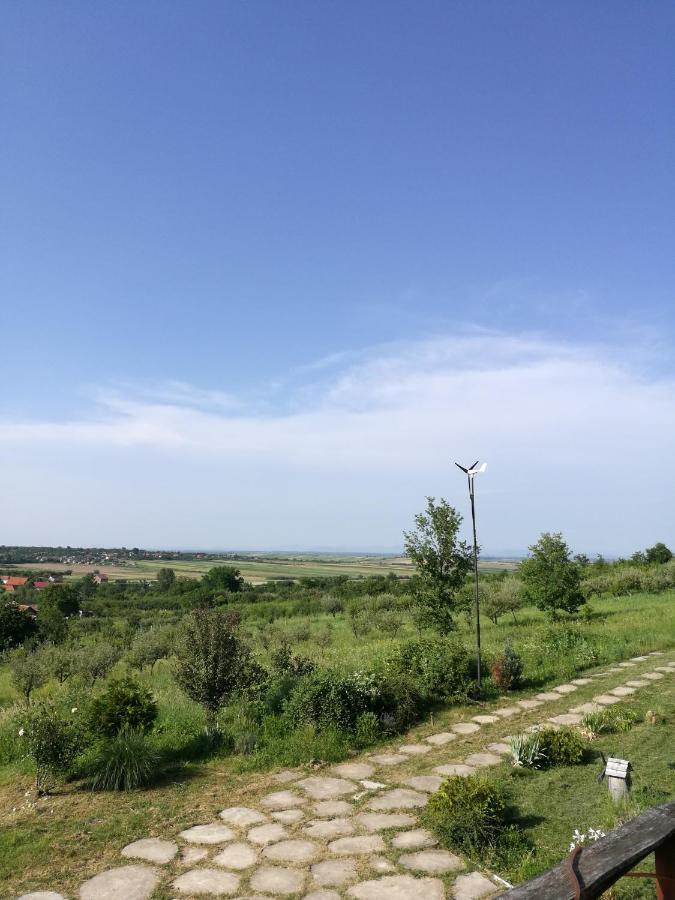 Vis Pension Viile Satu Mare Экстерьер фото