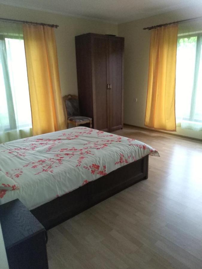 Vis Pension Viile Satu Mare Экстерьер фото