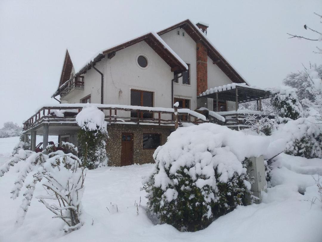 Vis Pension Viile Satu Mare Экстерьер фото