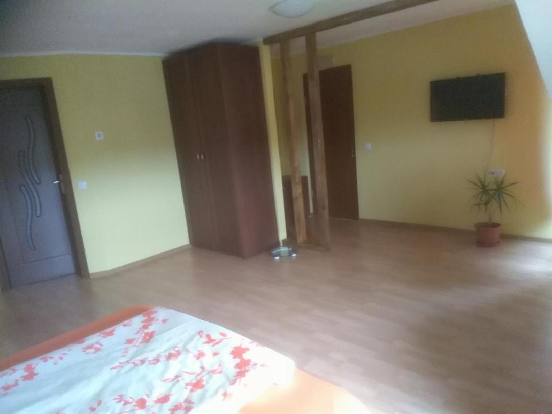 Vis Pension Viile Satu Mare Экстерьер фото