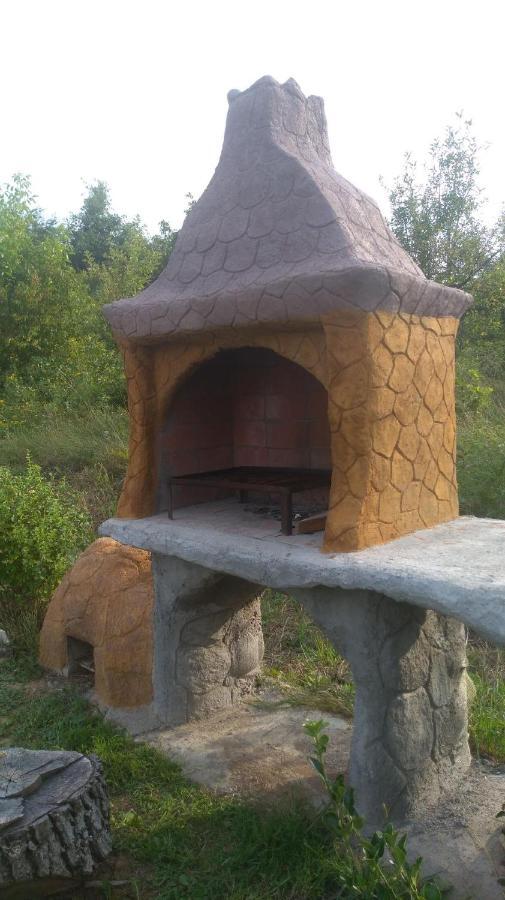 Vis Pension Viile Satu Mare Экстерьер фото