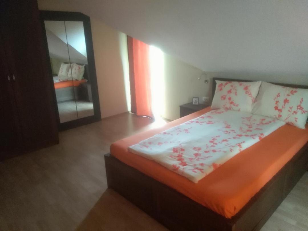 Vis Pension Viile Satu Mare Экстерьер фото