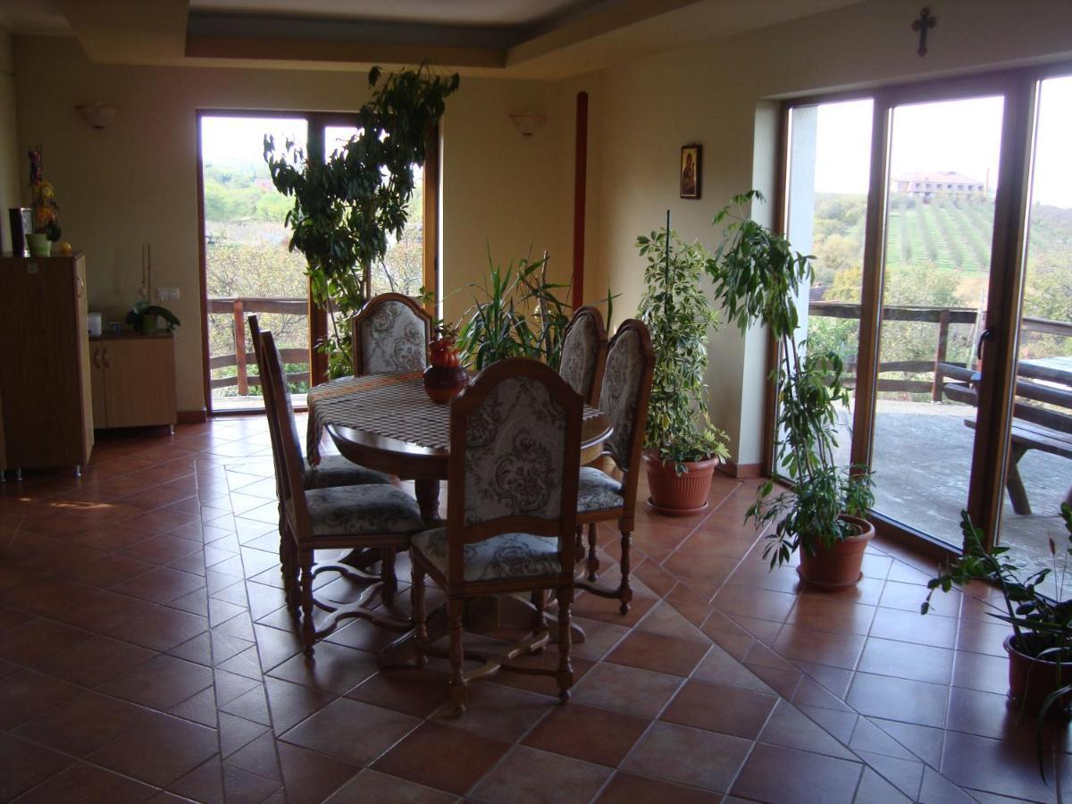 Vis Pension Viile Satu Mare Экстерьер фото