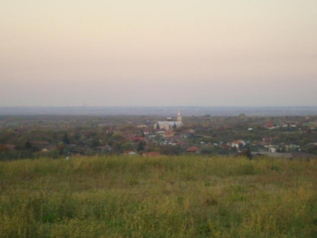 Vis Pension Viile Satu Mare Экстерьер фото